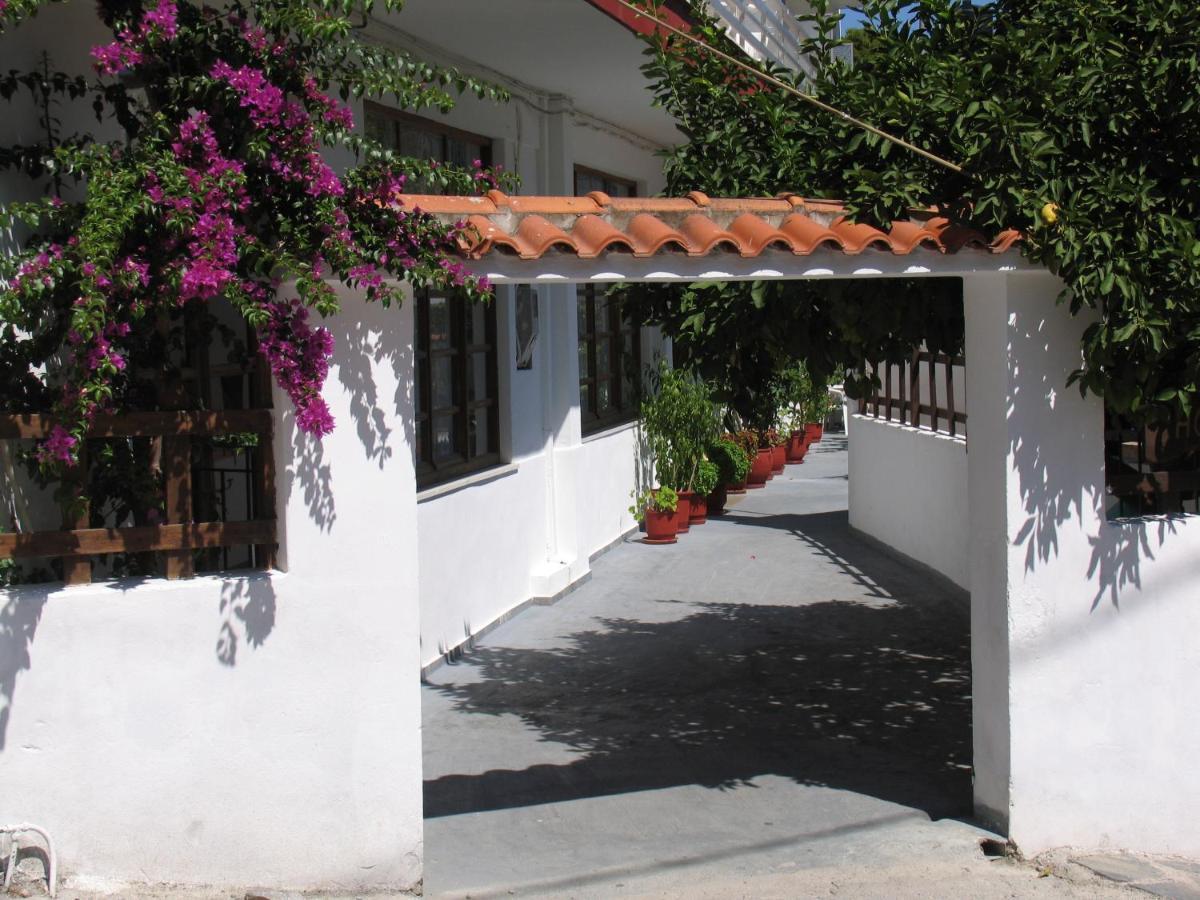 Julieta'S House Hotel ปาติติริ ภายนอก รูปภาพ